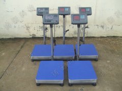 300kg�_�P����̖����_��